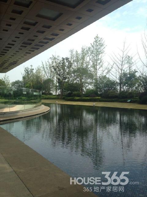 南京本地大牌 红太阳地产 无税免佣金 不交中介