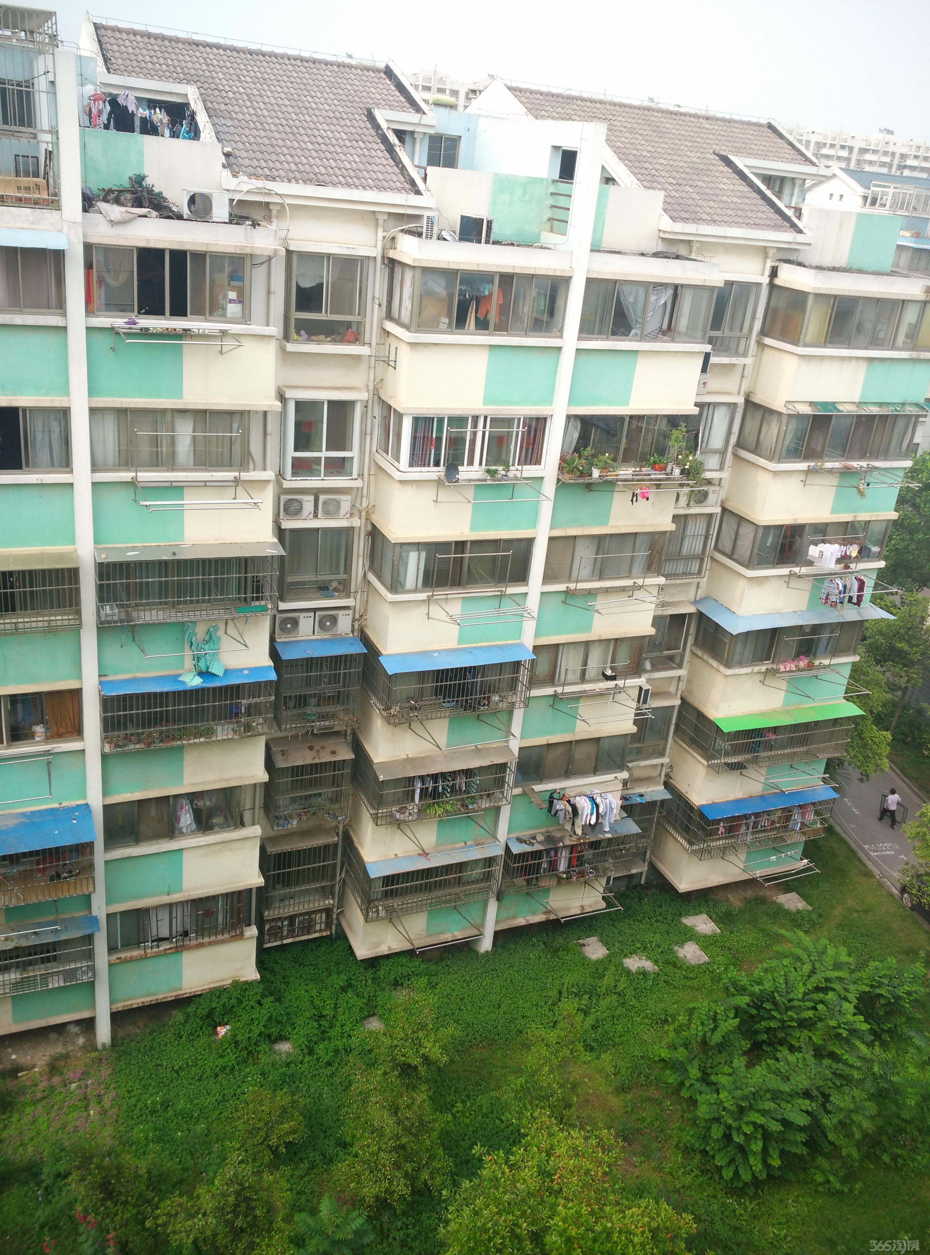 银龙花园 两证齐全 满五年 无收益金 南北通透 全明户型