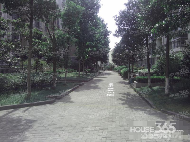 【北城世家新学区马上就到了,购房还在考虑吗