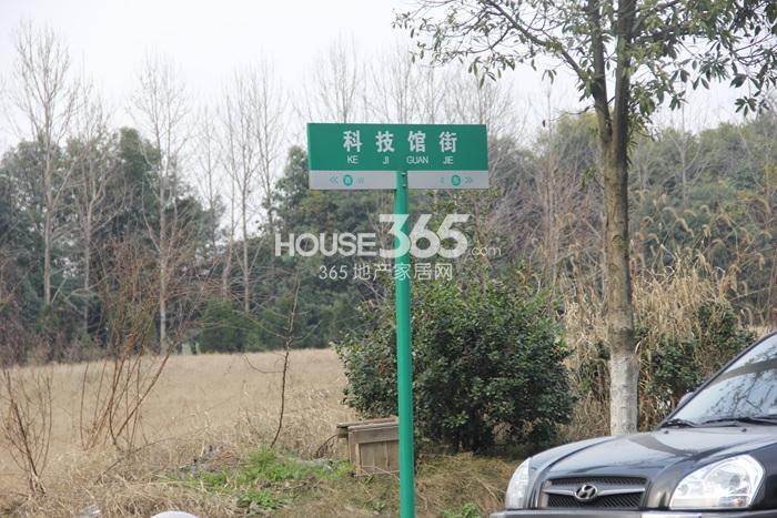 2015年3月华联星光时代项目周边路牌