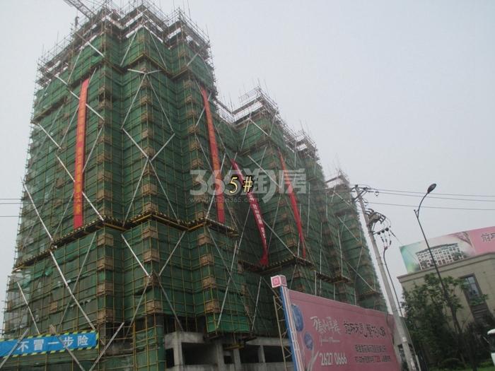 万泰城章项目5号楼施工进程图（2015.6）