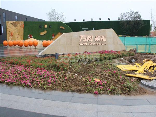 万科橙郡就剩最后一栋啦!你买了吗?-徐州365淘房