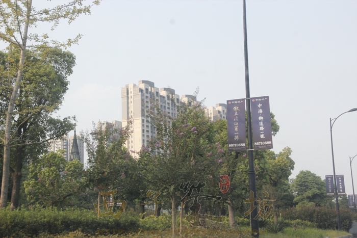 中海御道路一号江边的楼幢实景图 2015年9月摄