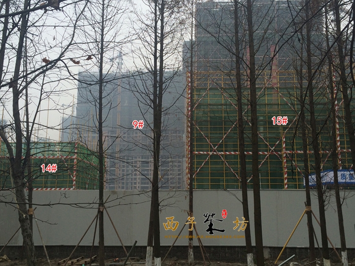中国铁建江南国际城9、14、15号楼实景图 2015年12月摄