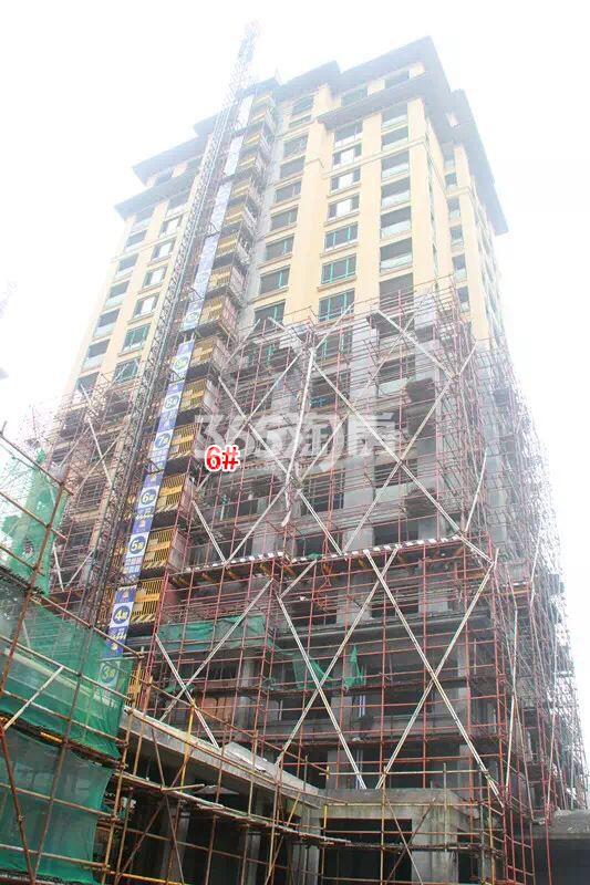 绿城蓝庭项目6号楼施工进程图（2015.12）