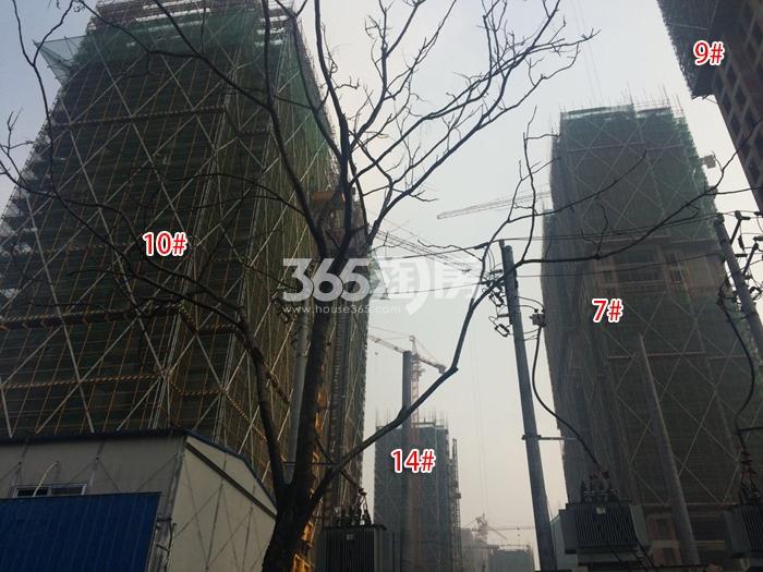 滨江华家池7、9、10、14号楼施工实景图 2015年12月摄