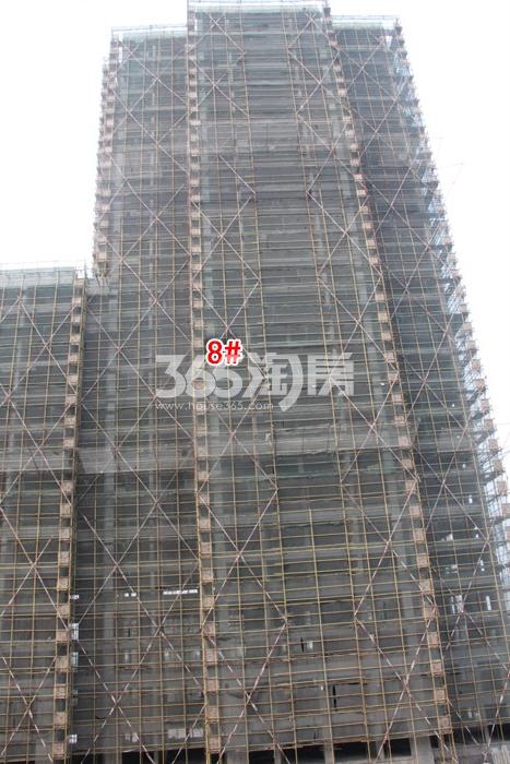 东晖龙悦湾高层8号楼施工进程图（2016.1）