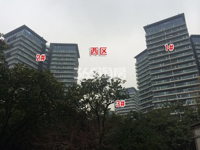 绿城之江1号西区1、2、3号楼实景图（2016.1）