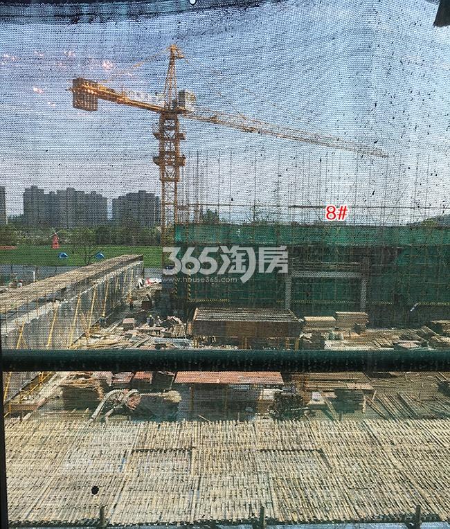 禹洲滨之江8号楼施工进程图（2017.4）