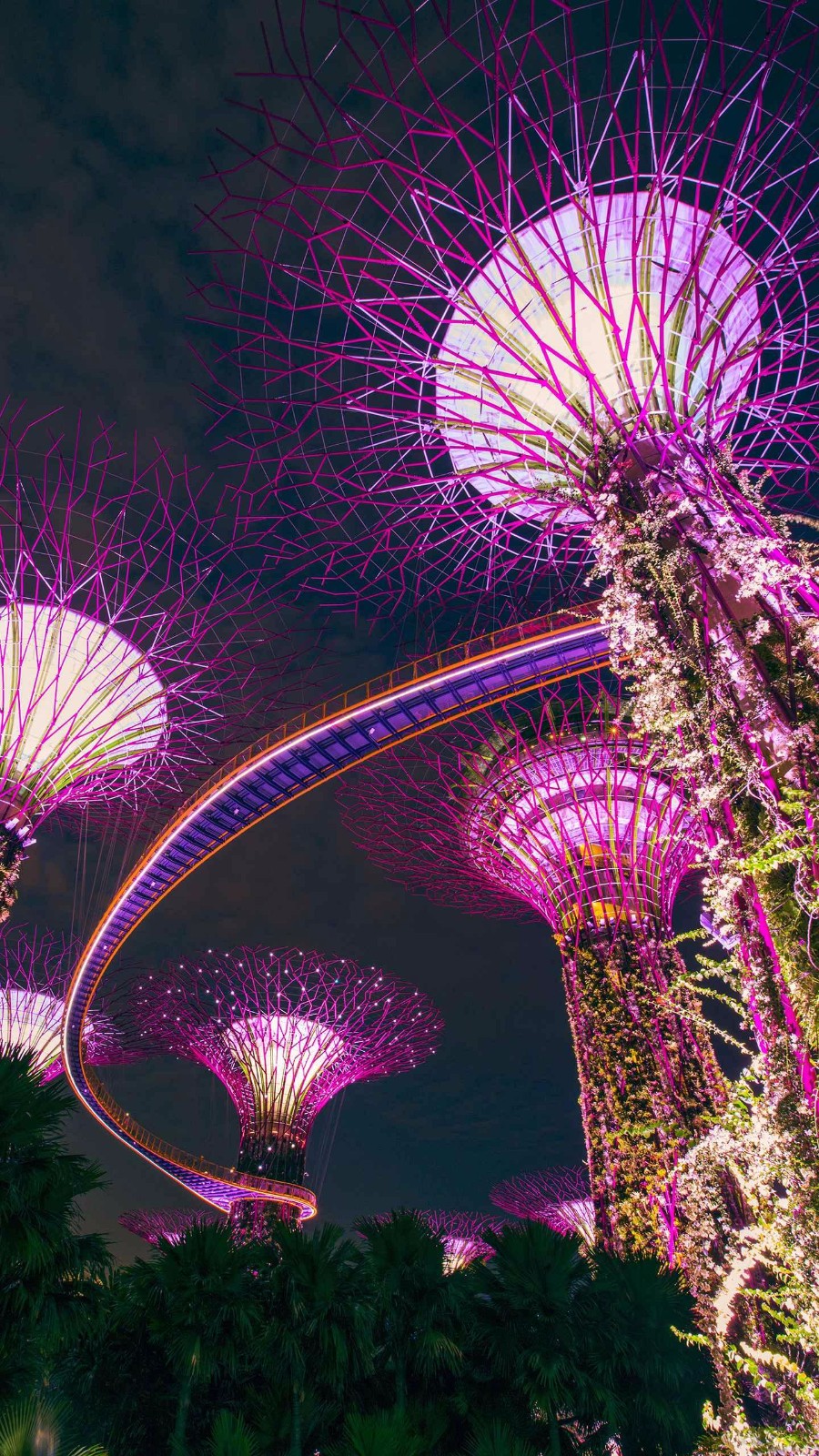 新世界中心a座1室1厅1卫50.00平米